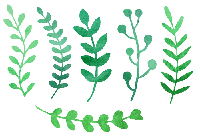 700x490 Plant Free Vector Art