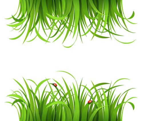 500x423 Plant And Spring Design Vector 07 Free Download