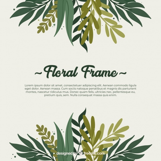626x626 Plants Vectors, Photos And Psd Files Free Download