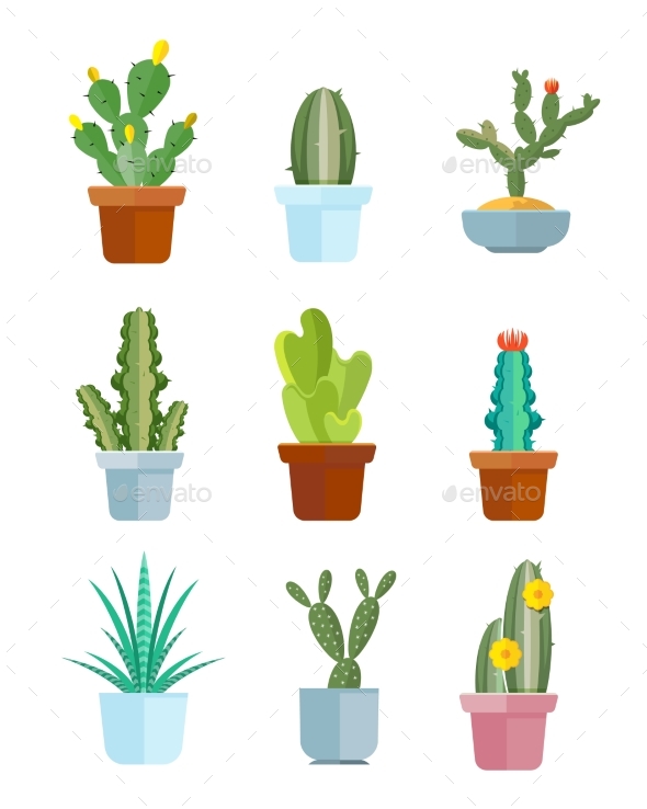 590x738 Cartoon Cactus, Desert Plants Vector Icons By Microvone Graphicriver