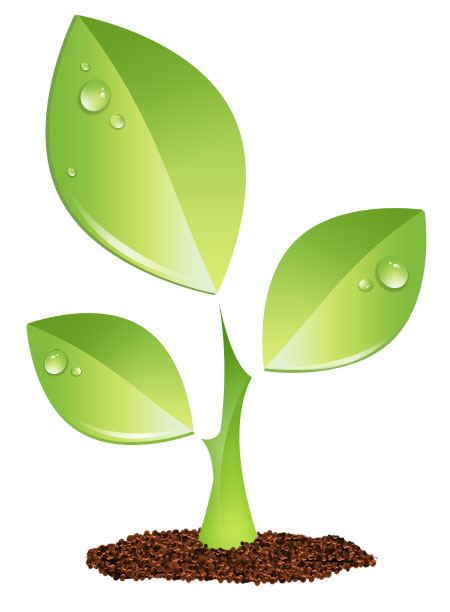 450x612 Plant Vector 1 An Images Hub