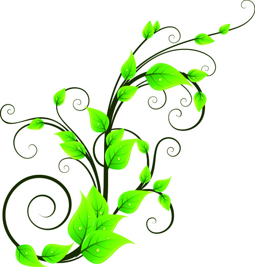 500x524 Green Rattan Plant Vector Free Vector 4vector