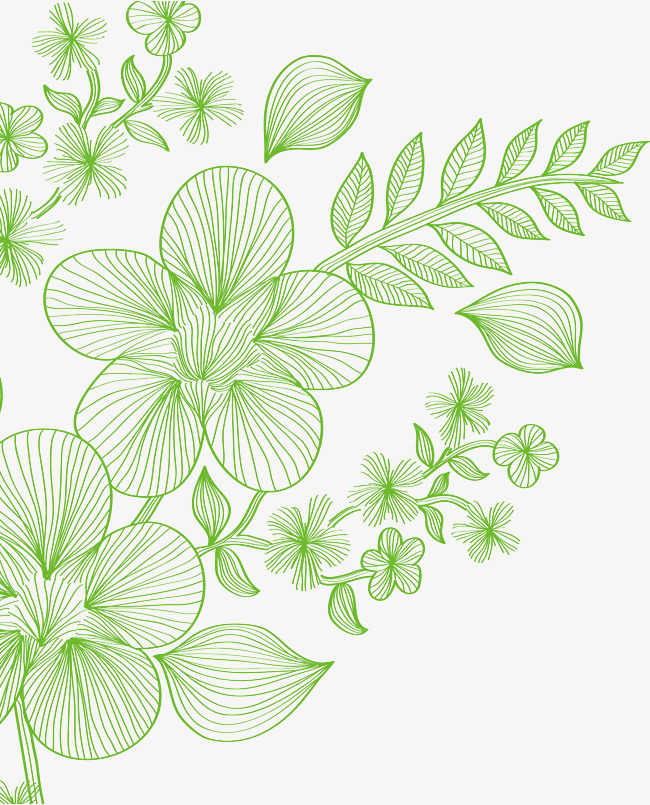 650x805 Green Lines Flower Plant Vector, Green Vector, Flower Vector