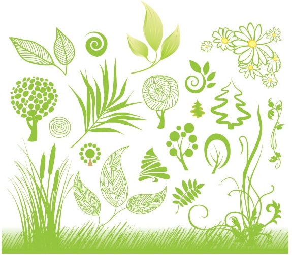 575x503 Handpainted Plant 01 Vector Free Vector In Adobe Illustrator Ai
