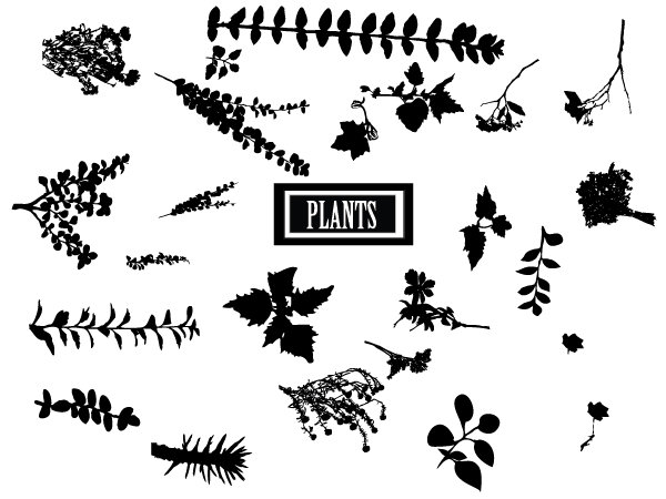 600x450 Huge Collection Of Free Plants Animals Amp Insect Vectors Creative