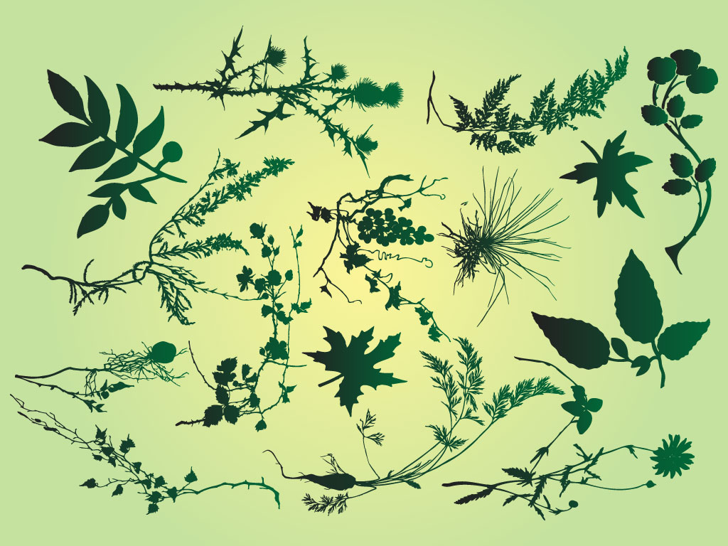 1024x768 Plants Pack