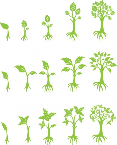 487x600 Tree Growing Free Vector In Adobe Illustrator Ai ( .ai