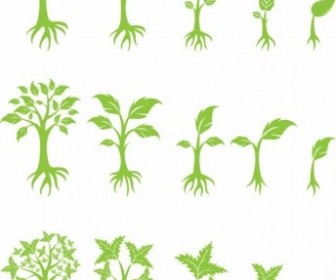 336x280 Vector Growing Tree Plant Vector Graphics