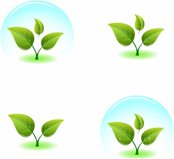 600x549 Young Green Plant Free Vector In Adobe Illustrator Ai ( .ai