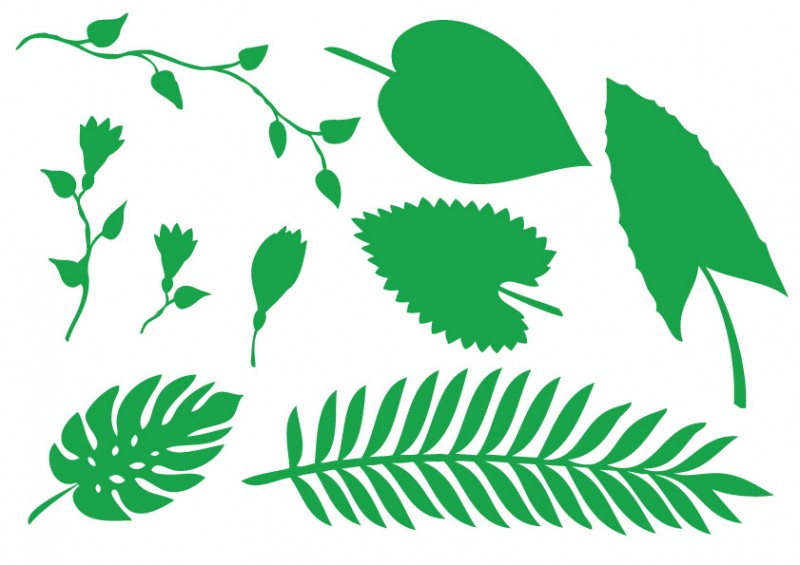 800x565 Jungle Leaves Clipart Jungle Plant Leaves And Flowers Vector