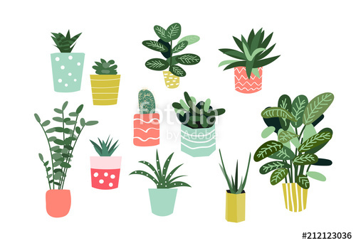 500x342 Potted Plants Collection. Succulents And House Plants. Hand Drawn