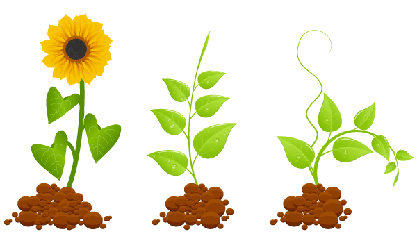 600x350 Free Eco Germinal Plants Psd Files, Vectors Amp Graphics