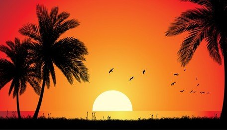 456x261 Clip Art Y Vectoriales Vector Noche Playa