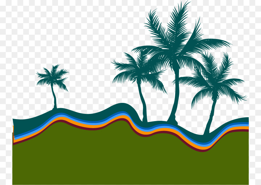 900x640 La Playa De La Silueta Arecaceae