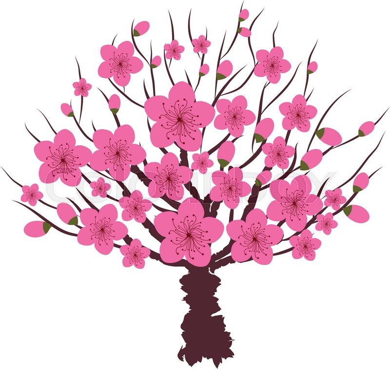800x757 Japanese Plum Blossom Stock Vector Colourbox
