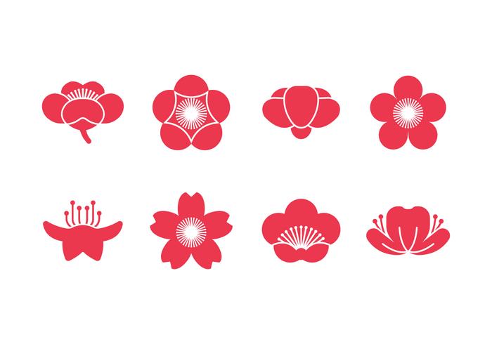 700x490 Plum Blossom Vector Icons