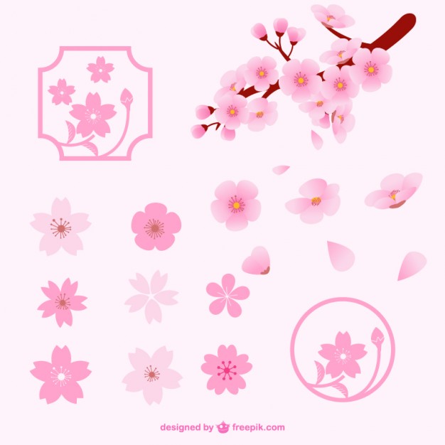 626x626 Blossoms Vectors, Photos And Psd Files Free Download