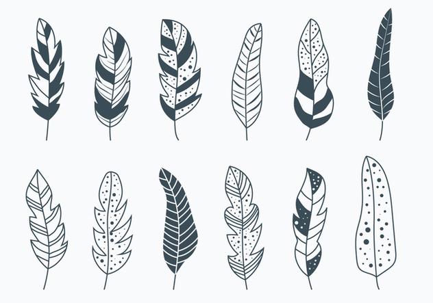 Pluma Vector at GetDrawings | Free download