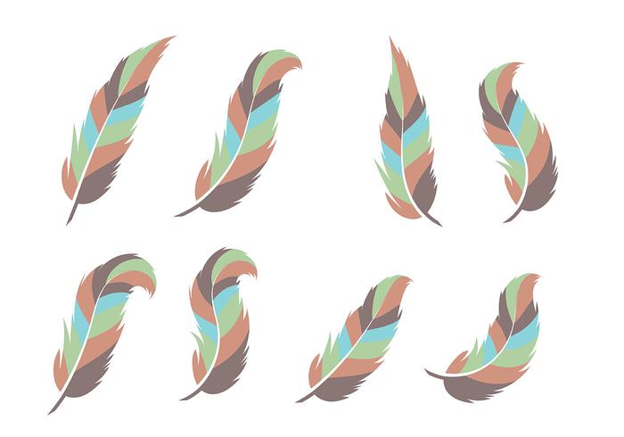 700x490 Pluma Vector