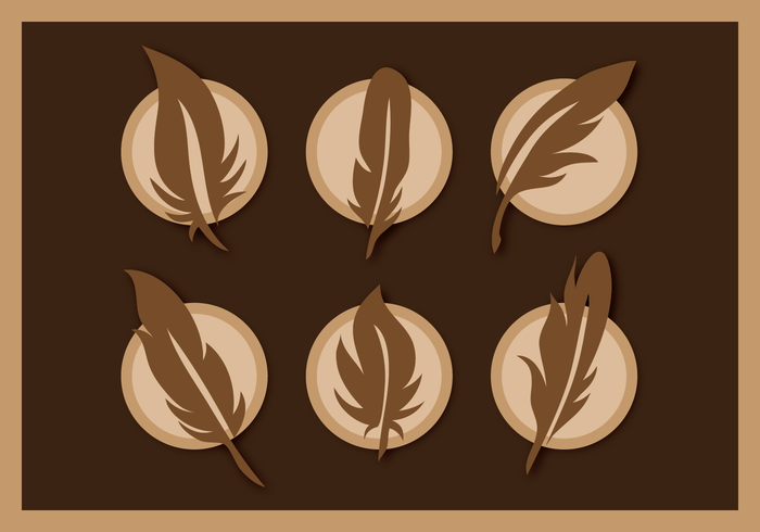 700x490 Pluma Vector