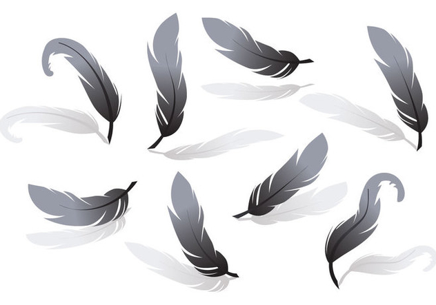 632x443 Pluma Vector Free Vector Download 433529 Cannypic