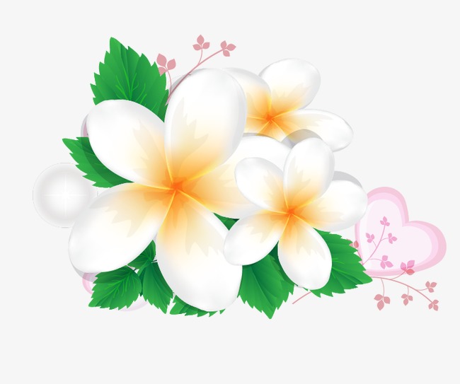 650x543 Plumeria, Flowers, Green Leaves, Pink Flowers Png And Vector For