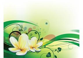 286x200 Plumeria Flower Free Vector Art