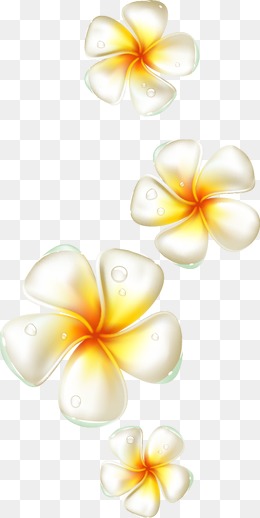 260x518 Plumeria Flower Png, Vectors, Psd, And Clipart For Free Download