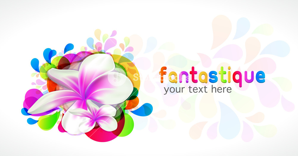 1000x526 Abstract Colorful Background With Plumeria Vector Illustration