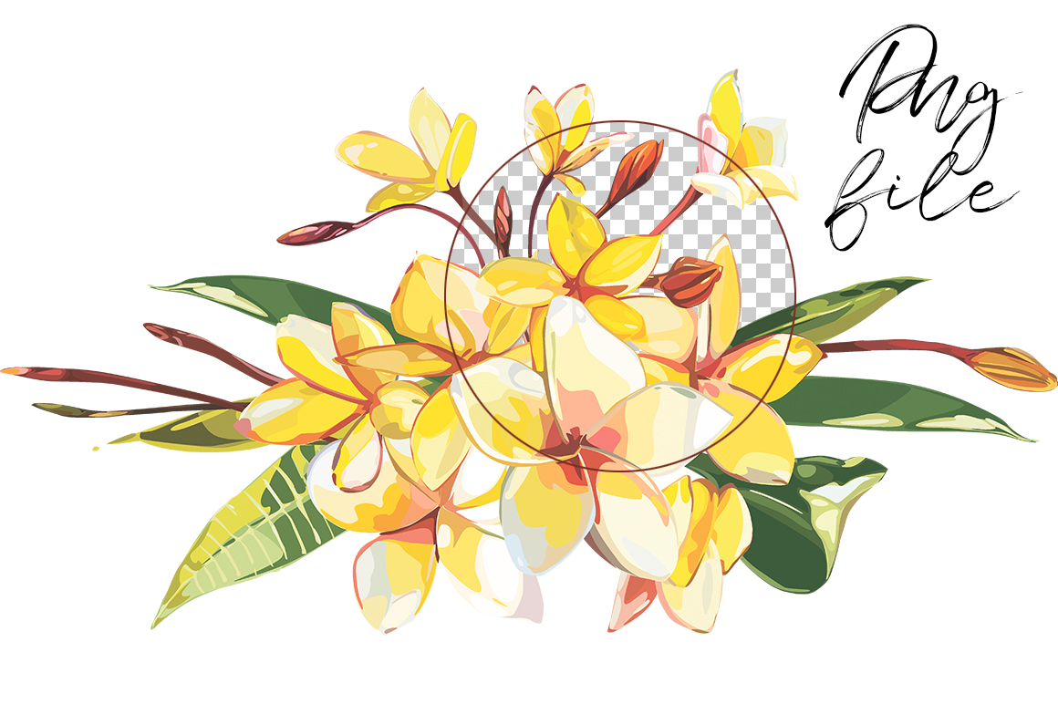 1160x772 Plumeria Vector Set! 65 Elements By Astro Ann