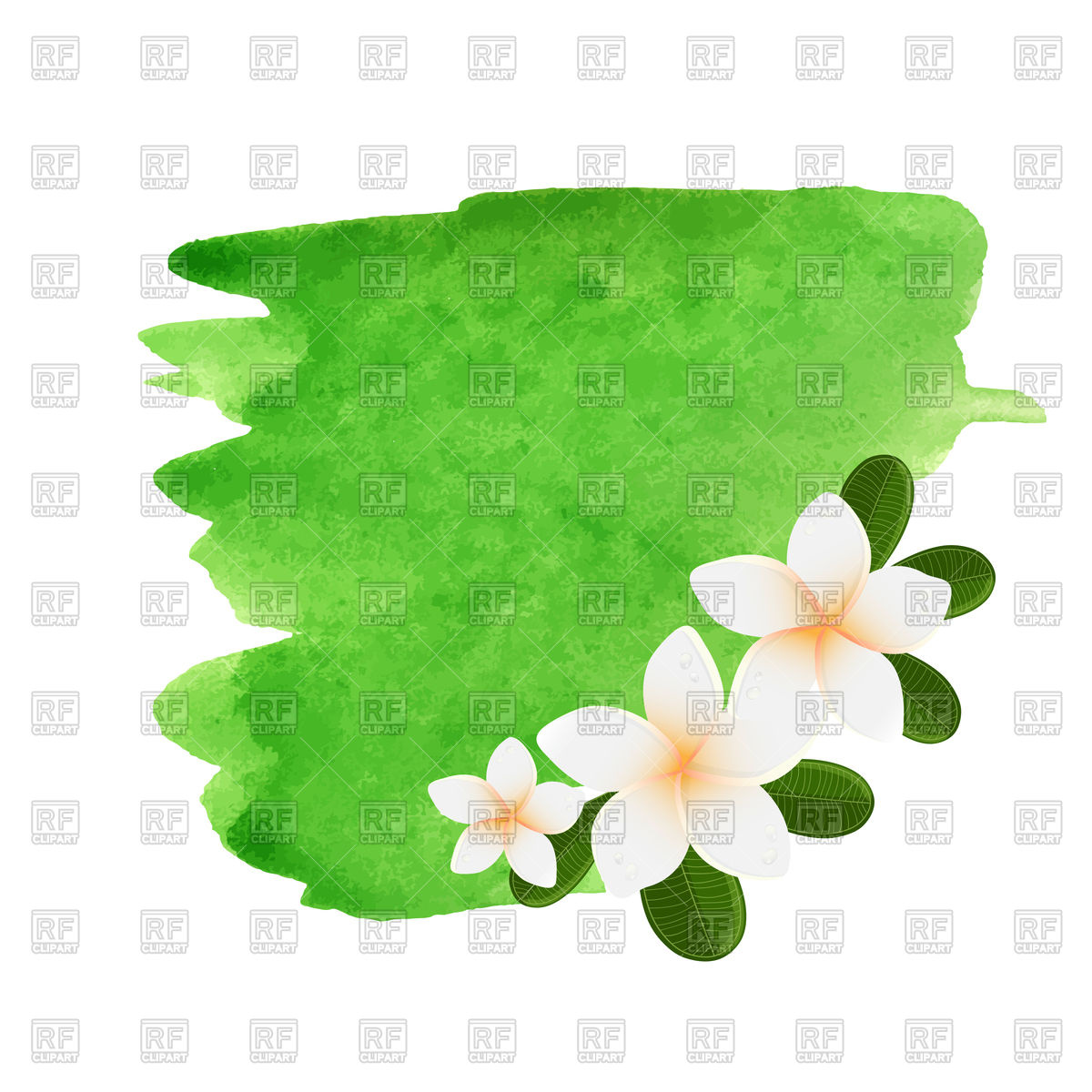 1200x1200 Watercolor Plumeria Flower Frame Vector Image Vector Artwork Of