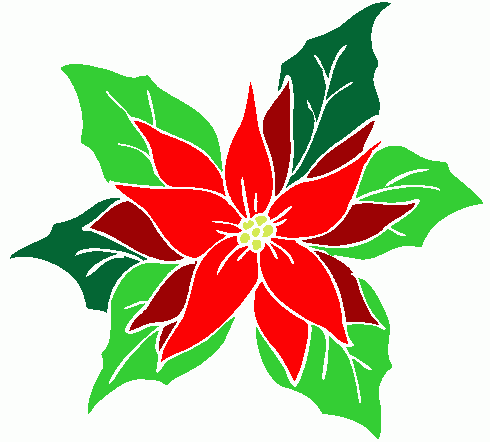 490x442 Petal Clipart Poinsettia