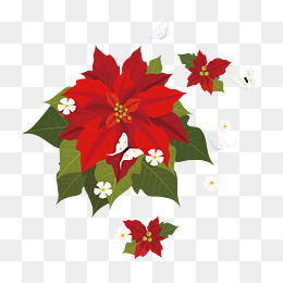 260x260 Poinsettia Png Images Vectors And Psd Files Free Download On