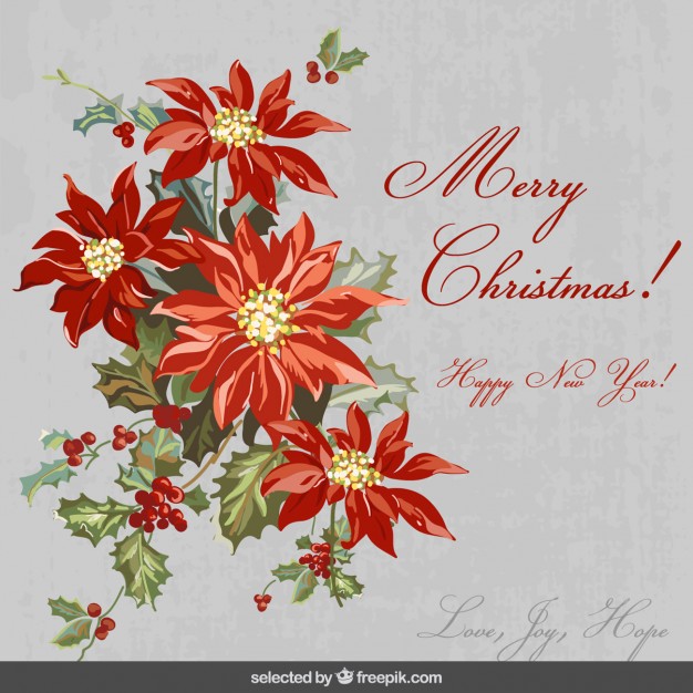 626x626 Poinsettia Vectors, Photos And Psd Files Free Download
