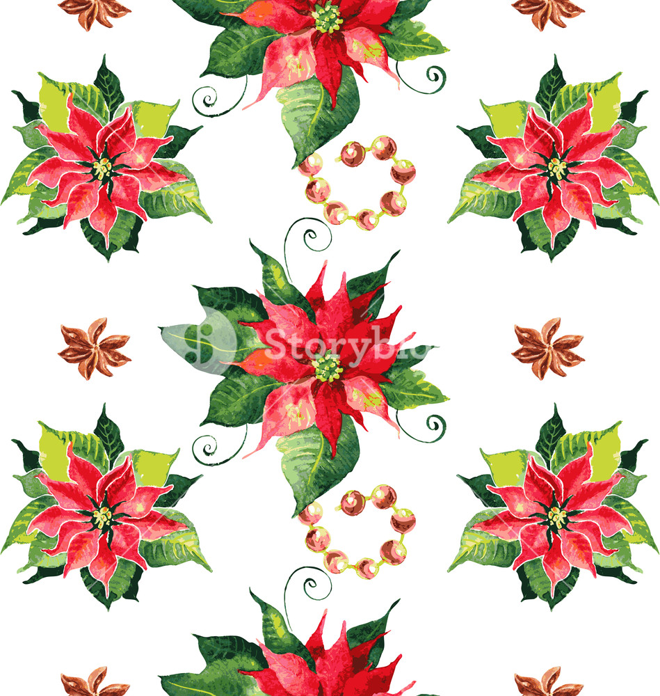 949x1000 Christmas Background With Red Poinsettia. Vector Watercolor