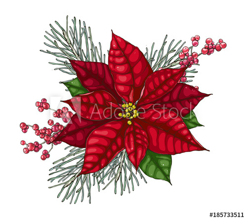 500x446 Christmas Decoration With Red Poinsettia. Vector Greeting Card
