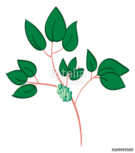 439x500 Poison Ivy, Simple Illustration Stock Image And Royalty Free