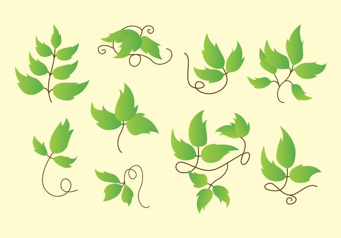 700x490 Poison Ivy Icons