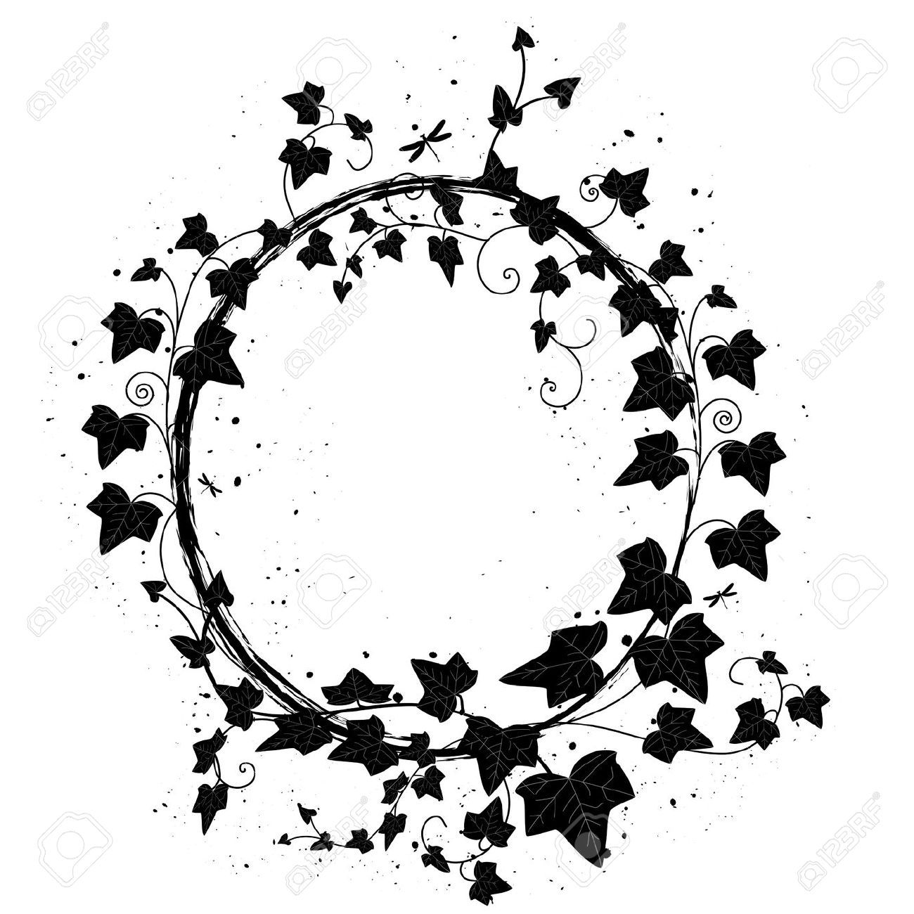 1300x1300 Ivy Stock Illustrations, Cliparts And Royalty Free Ivy Vectors