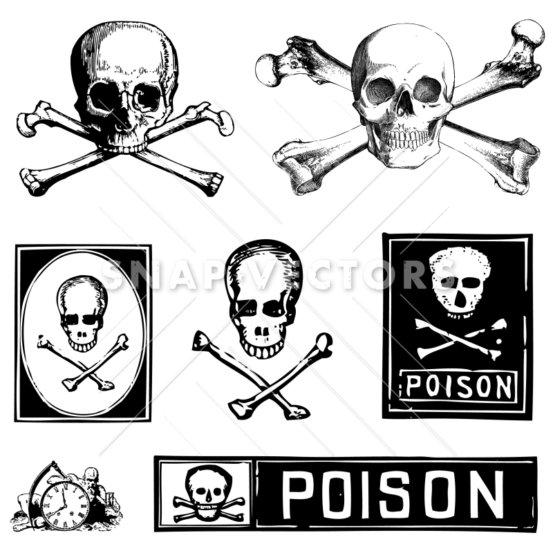 800x800 Vector Skull Crossbones And Poison Clipart