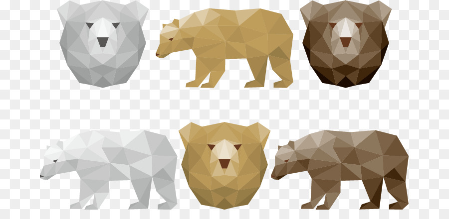 900x440 Polar Bear Brown Bear Geometry