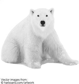 335x355 Download Polar Bear