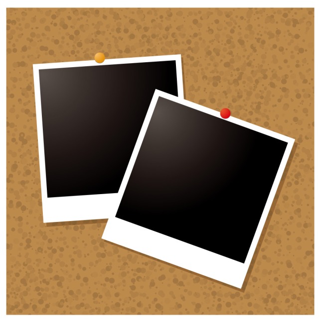 650x645 Polaroid Vector Free Download Ai Files