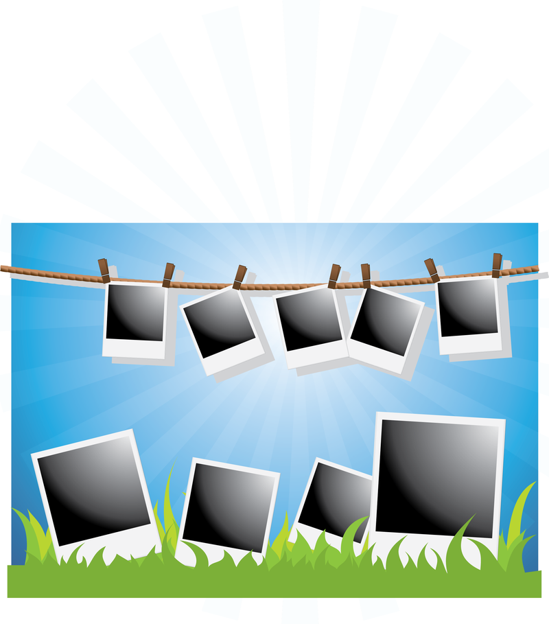 800x909 Polaroid Vector Graphics