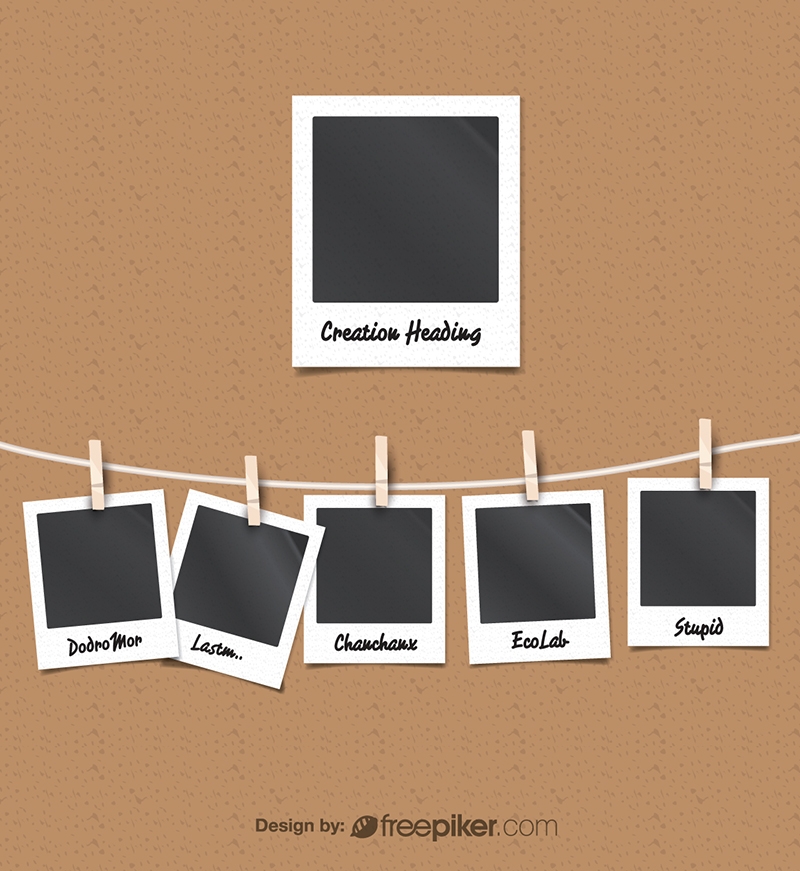 800x871 Freepiker Polaroid Vector Photo Frames Amp Film