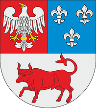 196x220 Turek County (Poland), Coat Of Arms