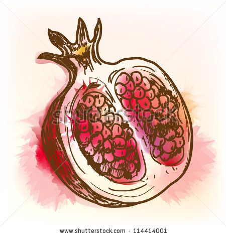 450x470 Pomegranate Vector Pomegranate. Original Vector Illustration