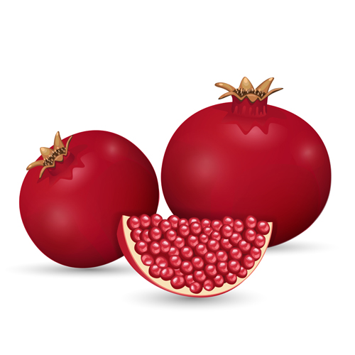 500x500 Realistic Pomegranate Design Vector 02 Free Download
