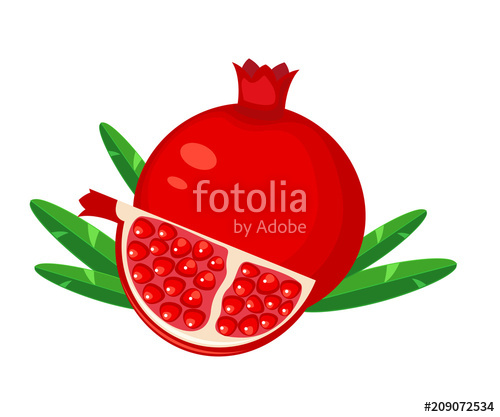 500x417 Red Pomegranate Fruit And Slice Pomegranate Vector Illustration
