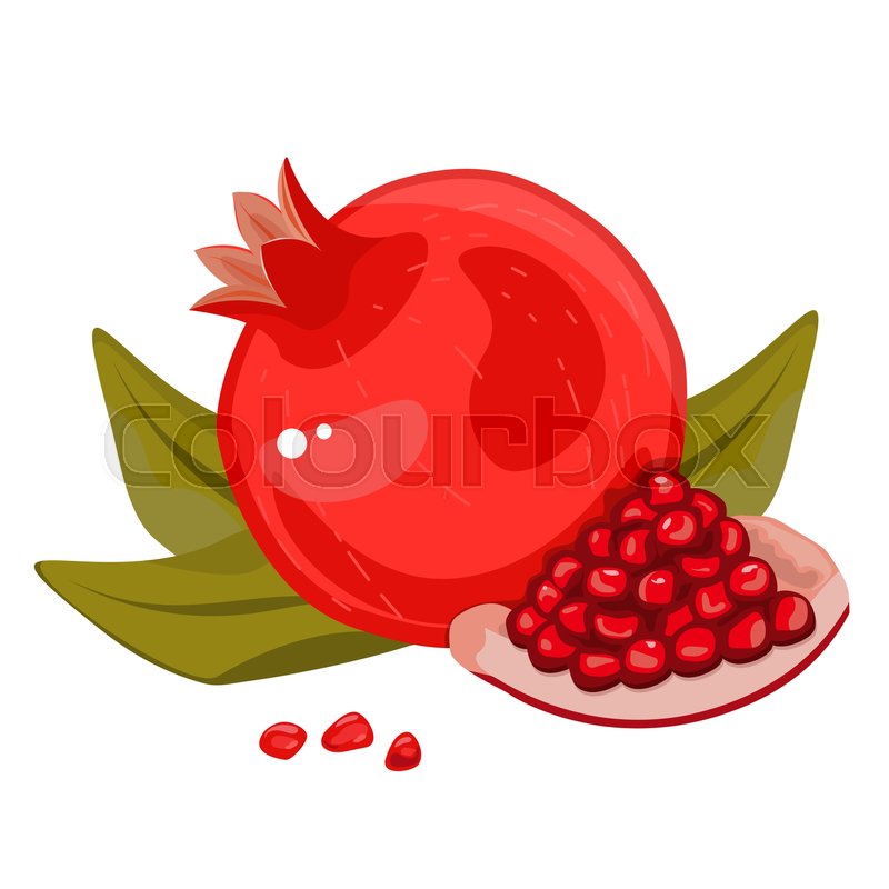 800x800 Whole And Cut Icon Set Pomegranate.vector Illustration Isolated On